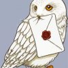 Hedwig Owl Bird Harry Potter paint by number