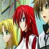 High School DxD Characters paint by numbers