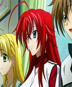 High School DxD Characters paint by numbers