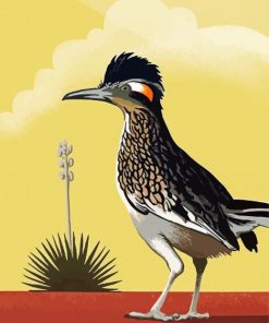 Illustration Roadrunner Bird paint by number