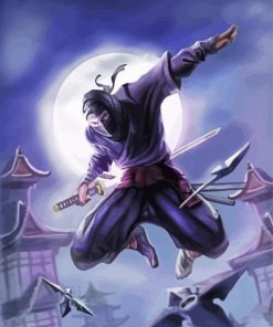 Japanese Ninja Assassin paint by numbers