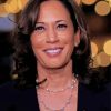 Kamala Harris paint by number