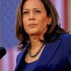 Usa Kamala Harris Vice President paint by number