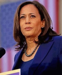 Usa Kamala Harris Vice President paint by number