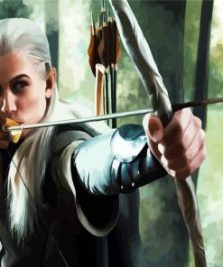 Legolas Elf paint by numbers