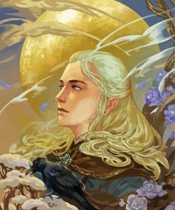 Lord Of The Rings Legolas Elf paint by numbers