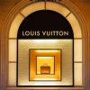 Louis Vuitton Store paint by numbers