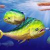 Mahi Mahi Undersea paint by numbers