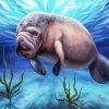 Manatee Animal paint by numbers