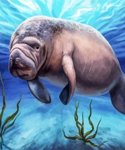 Manatee Animal paint by numbers