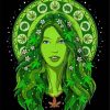 Marijuana Lady paint by numbers