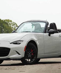 Mazda MX 5 Miata Car paint by number