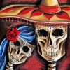 Mexican Skulls paint by numbers