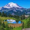 Mountain Rainier Washington paint by number