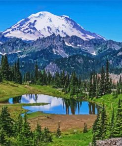 Mountain Rainier Washington paint by number