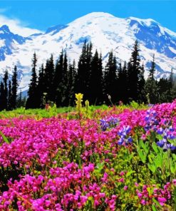 Mt Rainier paint by number