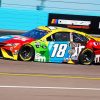 NASCAR paint by numbers