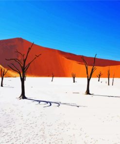 Namibia Desert paint by number