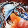 Native American Horse paint by numbers