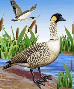 Nene Bird paint by number