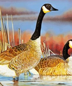 Nene Hawaiian Goose paint by number