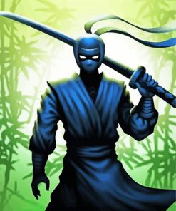 Ninja Assassin Warrior paint by numbers