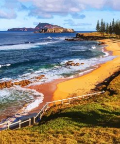 Norfolk Island paint by numbers