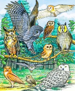 North American Owls paint by numbers