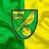 Norwich City Football Club Logo paint by number