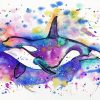 Orca Art paint by numbers