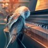 Owl Playing Piano paint by numbers