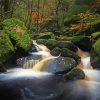 Padley Gorge Sheffield paint by number