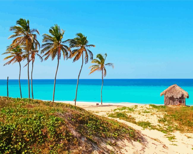 Playa Megano Cuba paint by numbers