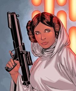 Princess Leia Organa paint by numbers