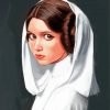 Princess Leia paint by numbers