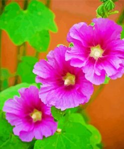 Purple Hollyhocks paint by numbers