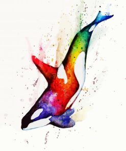 Rainbow Orca Art paint by numbers