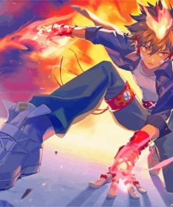 Reborn Tsunayoshi Sawada paint by numbers