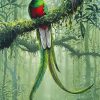 Resplendent Quetzal paint by number