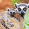 Ring Tailed Lemur Family paint by numbers