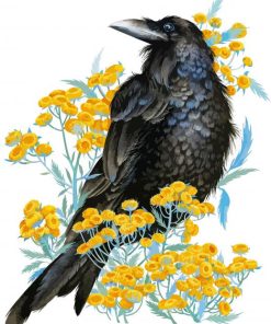 Rook Bird Art paint by number