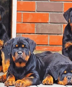 Rottweiler Family paint by number