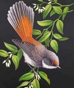 Rufous Fantail Web paint by numbers