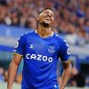 Salomón Rondón Everton paint by numbers