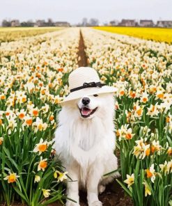 Samoyed Enjoying The Spring paint by number