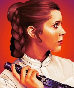 Star Wars Princess Leia Organa paint by numbers