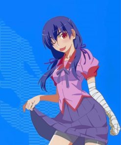 Suruga Kanbaru Monogatari paint by number