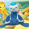 The Octonauts Animation Characters paint by numbers