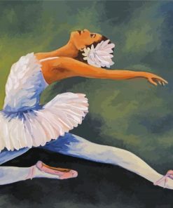 The Swan Dance paint by number