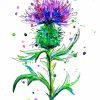 Thistle Plant Art paint by number